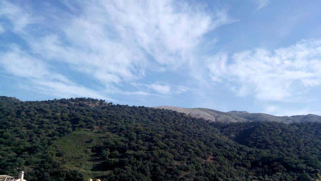 Apartamento El Serrano Benaoján Dış mekan fotoğraf